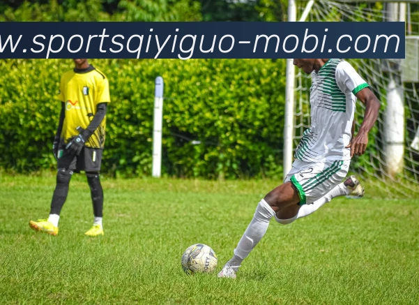 奇异果体育APP 高清赛事图